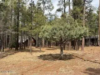 7776 Buck Springs Road, Pinetop, AZ 85935 - #3