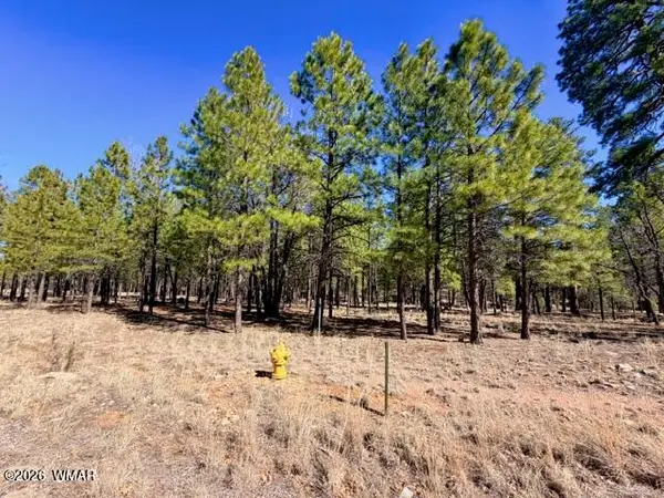 1921 Pine Canyon Drive, Happy Jack, AZ 86024