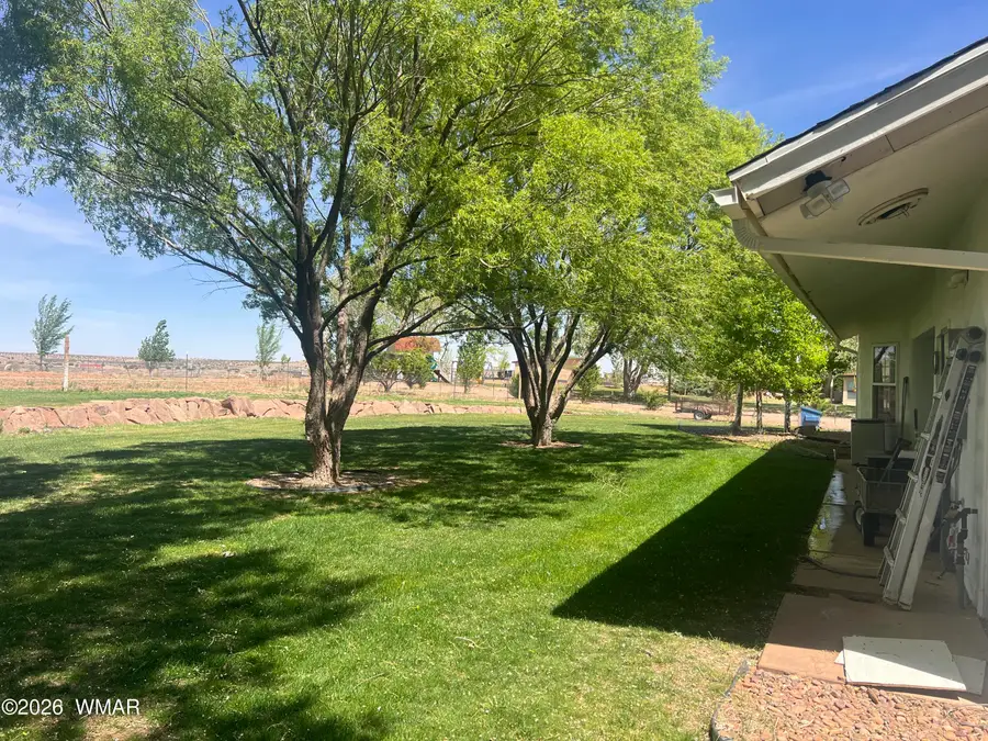 130 Otto Drive, Snowflake, AZ 85937 - #3