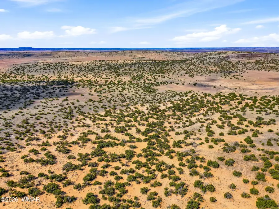 40 AC Parcel #212-10-020, Concho, AZ 85924 - #3