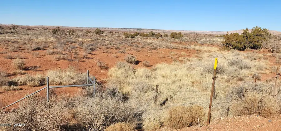 530 Co Road, Concho, AZ 85924 - #3