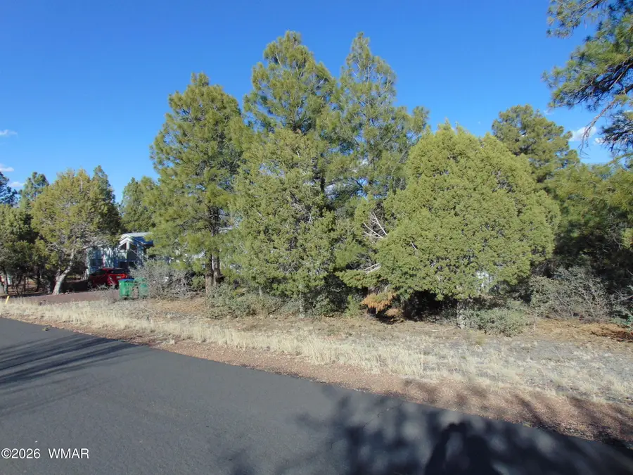 681 S 2nd Street, Show Low, AZ 85901 - #2