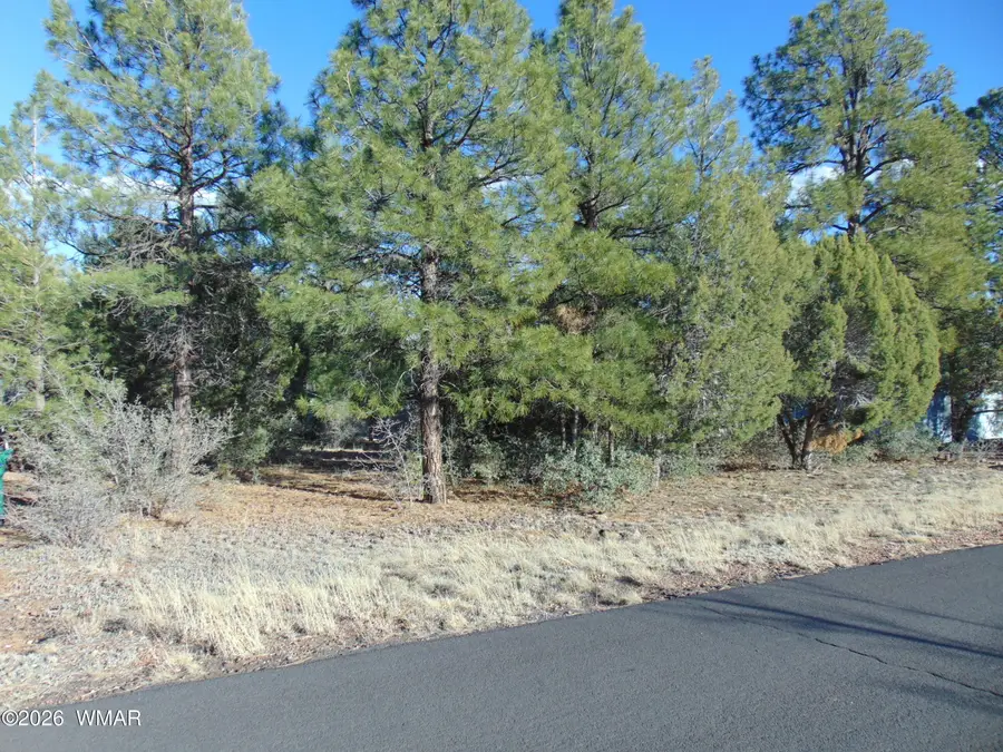 681 S 2nd Street, Show Low, AZ 85901 - #3