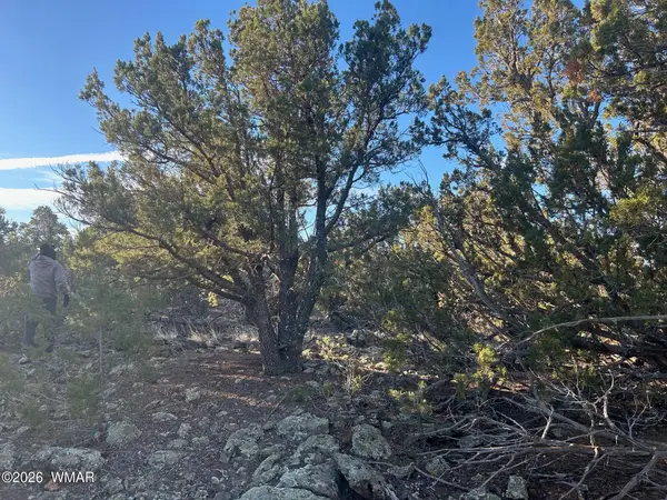 lot 80 Ranch Road, Vernon, AZ 85940