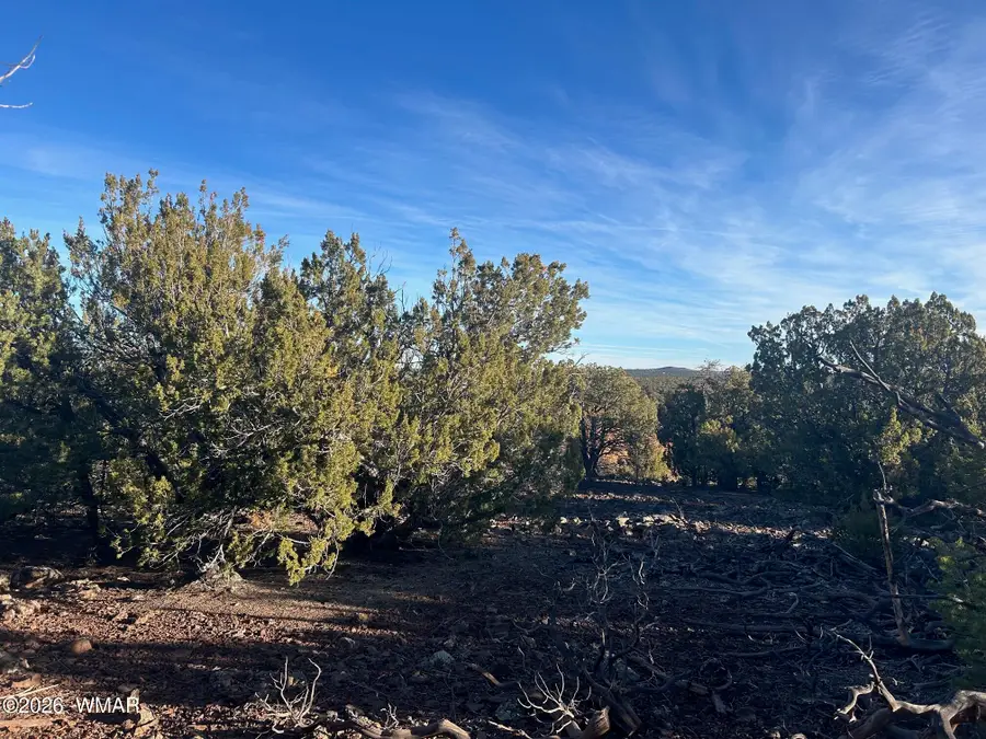 lot 80 Ranch Road, Vernon, AZ 85940 - #2