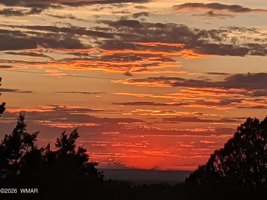 lot 80 Ranch Road, Vernon, AZ 85940 - #3