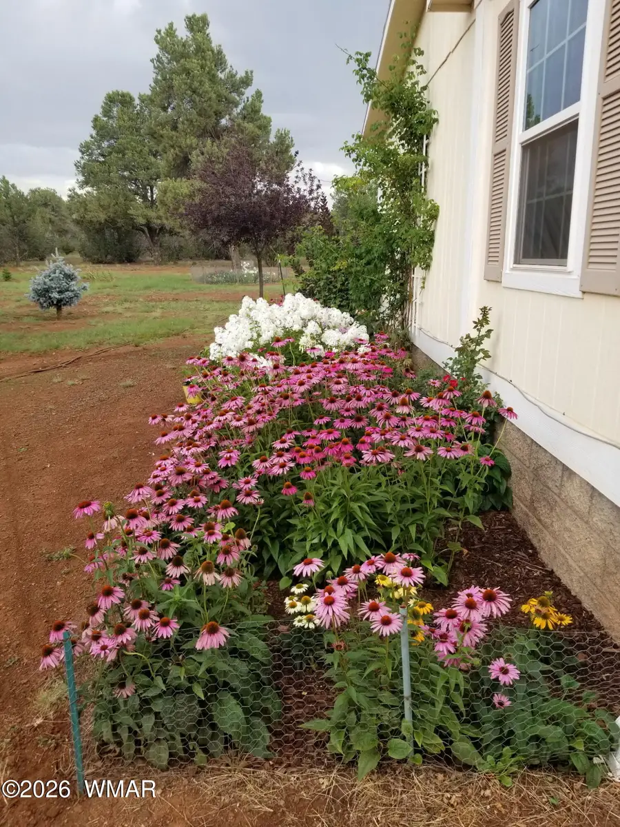 18 N3334, Vernon, AZ 85940 - #3