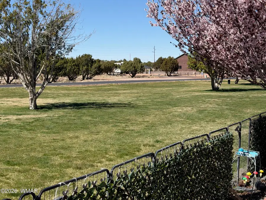 1968 Lynx Drive, Show Low, AZ 85901 - #3
