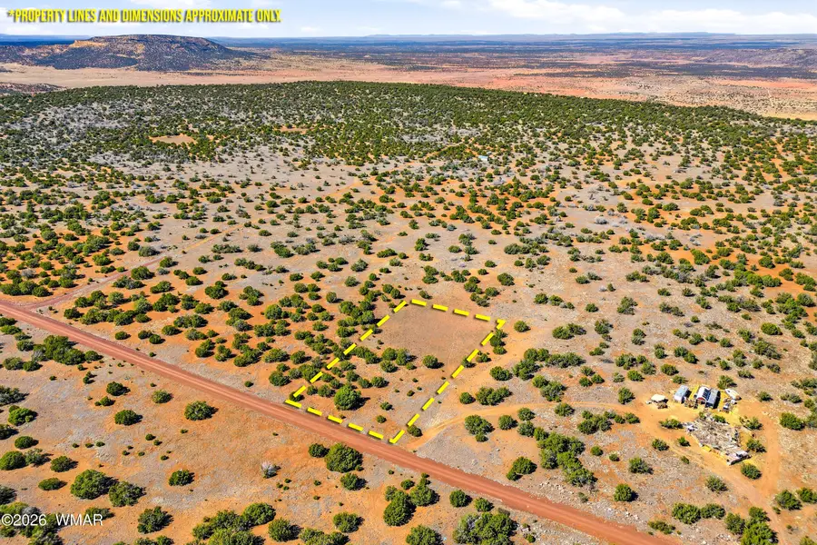 8085 County Road, Concho, AZ 85924 - #2