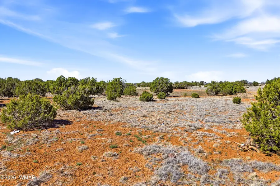 8085 County Road, Concho, AZ 85924 - #3
