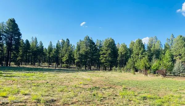 9592 Sierra Springs Drive, Pinetop, AZ 85935