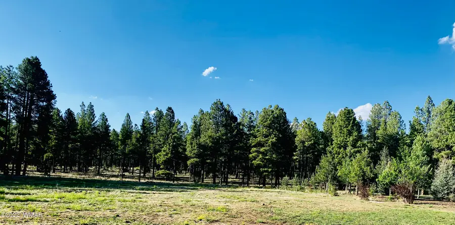 9592 Sierra Springs Drive, Pinetop, AZ 85935 - #2