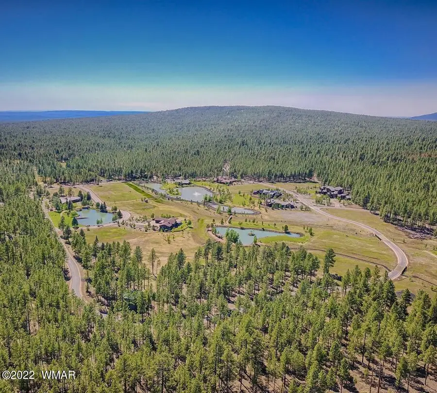 9592 Sierra Springs Drive, Pinetop, AZ 85935 - #3