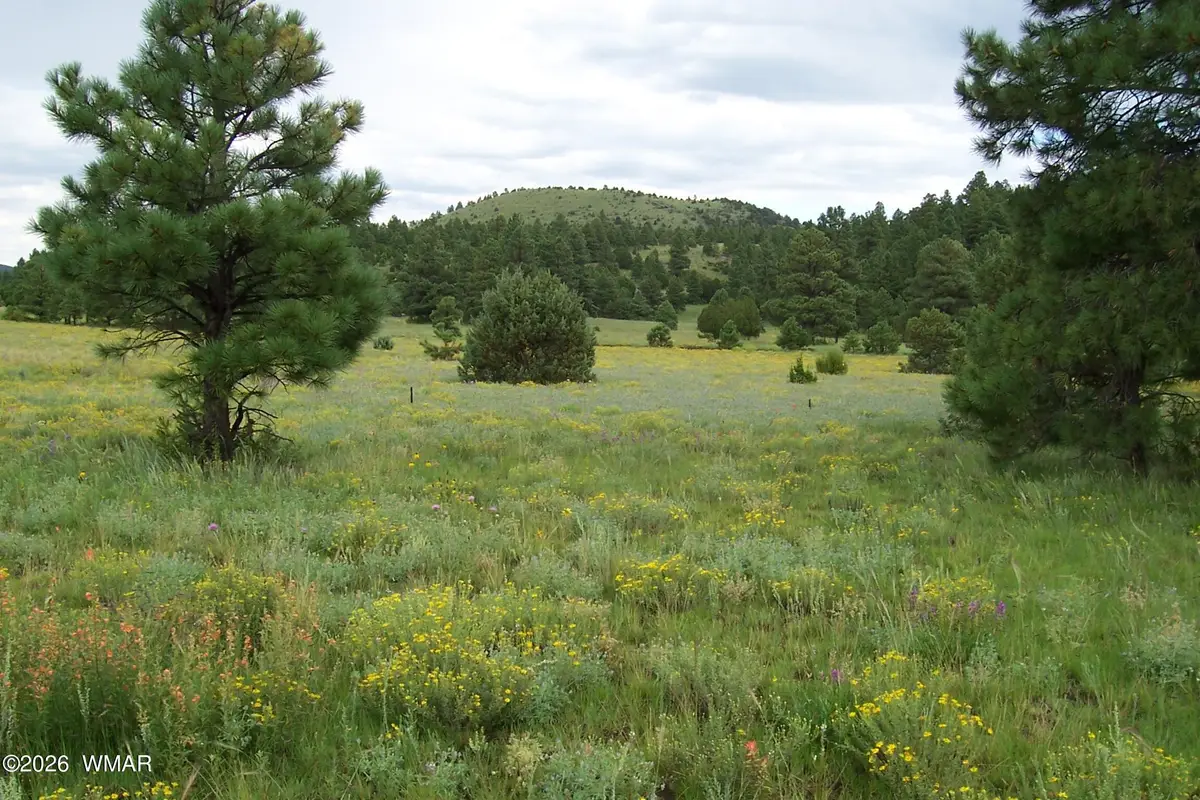 Lot 5 Red Cabin Ranch Unit Ii, Vernon, AZ 85940 - #1