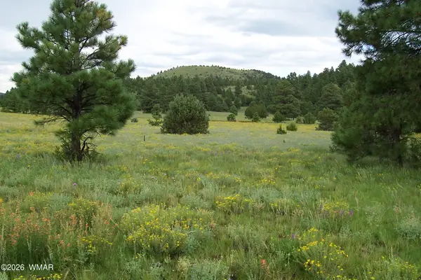 Lot 5 Red Cabin Ranch Unit Ii, Vernon, AZ 85940