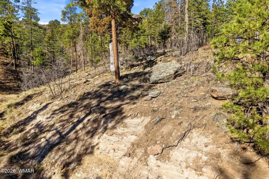 12 W Pergatory Drive, Alpine, AZ 85920 - #2