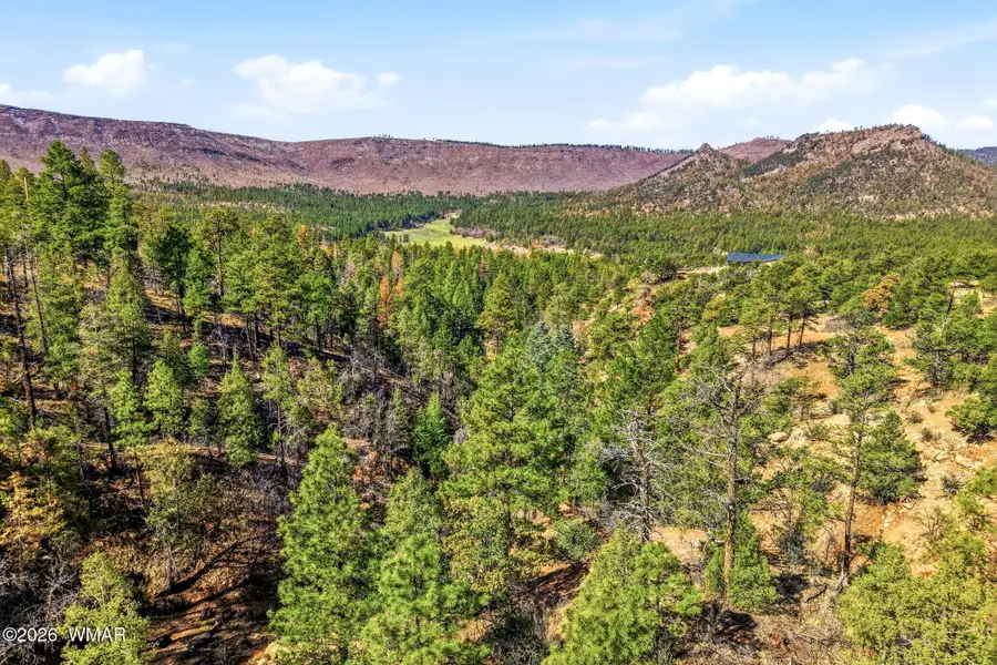 TBD Cr N2278, Nutrioso, AZ 85932 - #2