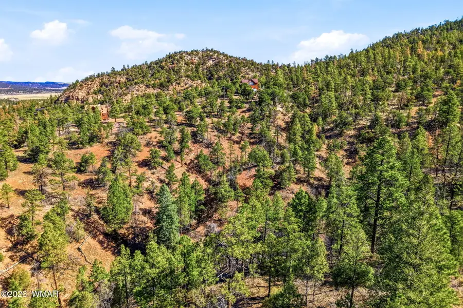 TBD Cr N2278, Nutrioso, AZ 85932 - #3