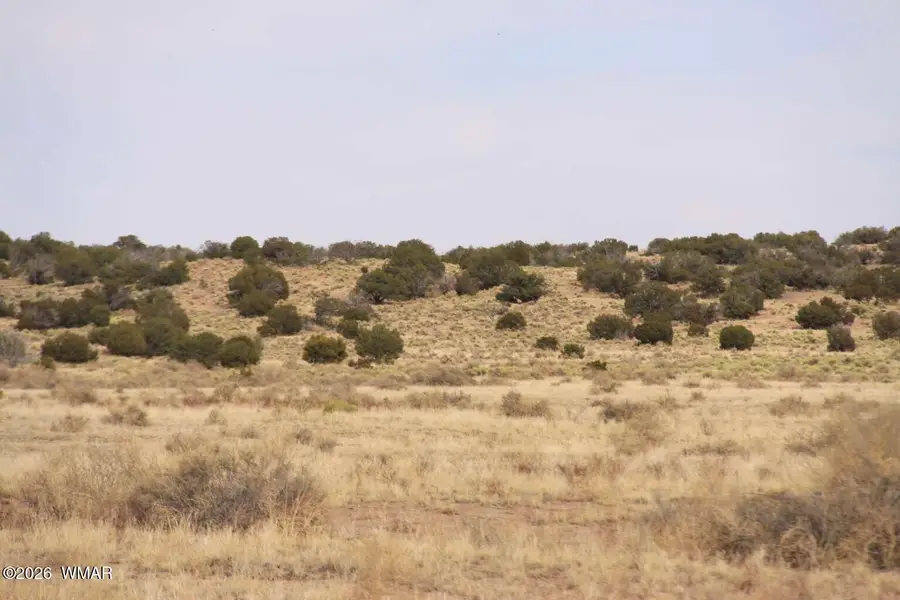 4466 Stanley Lane, Saint Johns, AZ 85936 - #2