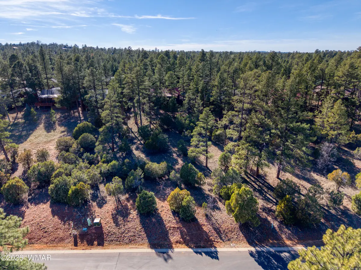1220 S Lakeside Trail, Show Low, AZ 85901 - #1