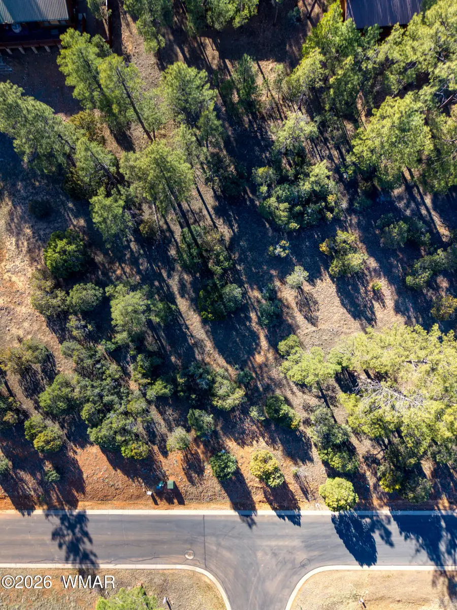 1220 S Lakeside Trail, Show Low, AZ 85901 - #2