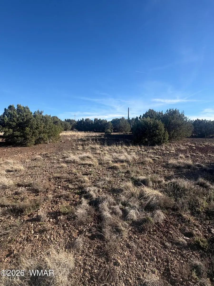 1757 Silver Lake Boulevard, Show Low, AZ 85901 - #2