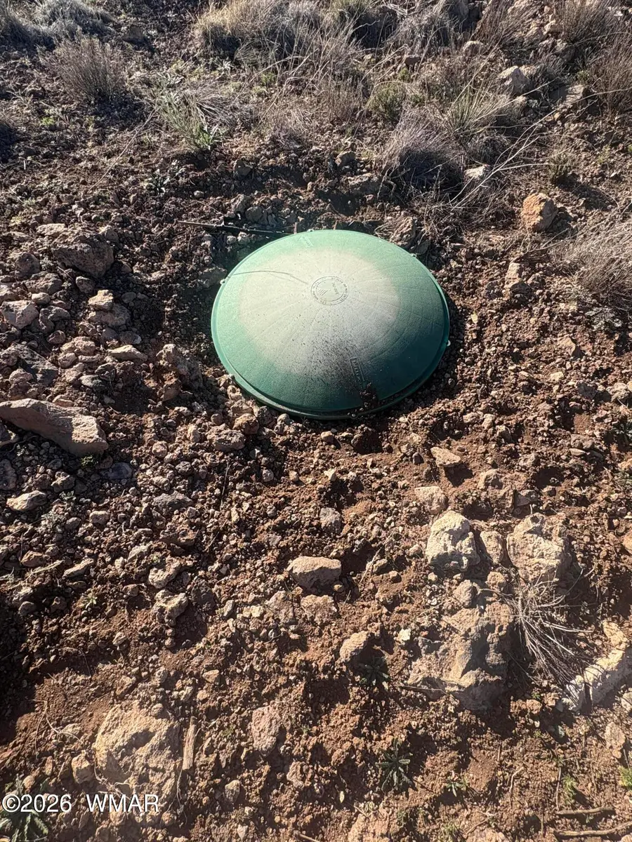 1757 Silver Lake Boulevard, Show Low, AZ 85901 - #3