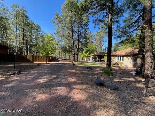 233 E Turkey Track Lane, Pinetop, AZ 85935 - #3