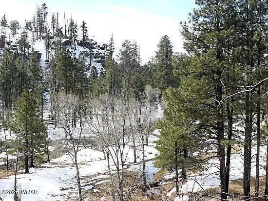 3373 Whisper Lane, Heber, AZ 85928 - #3