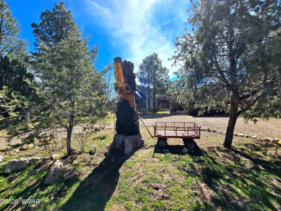 3163 Tonto Drive, Heber, AZ 85928 - #2