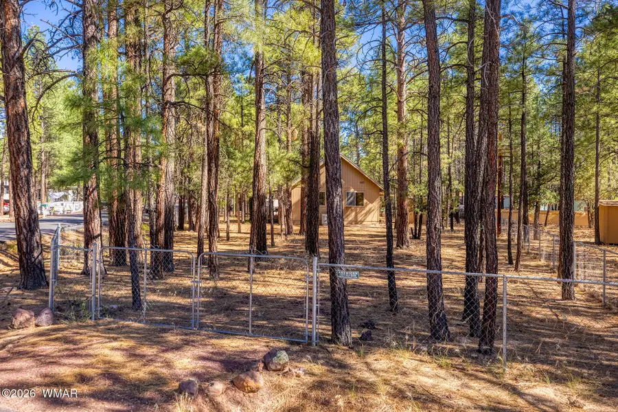 1148 N 43rd Drive, Show Low, AZ 85901 - #3