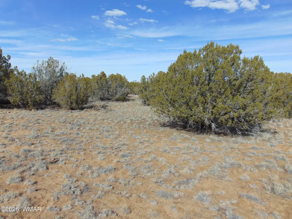 51 & 49 County Road 8243 Road, Vernon, AZ 85940 - #1