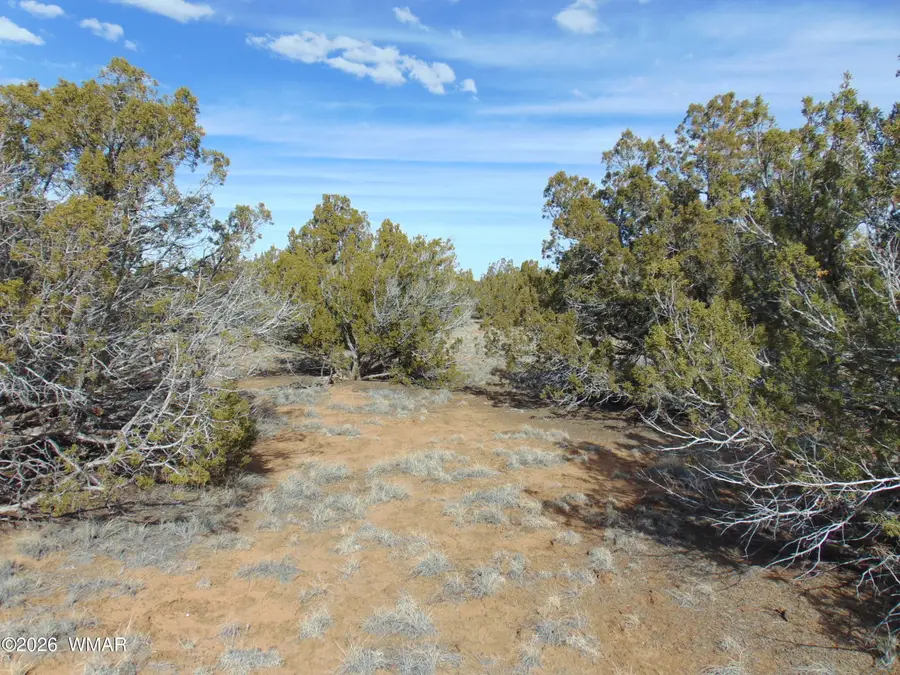 51 & 49 County Road 8243 Road, Vernon, AZ 85940 - #2