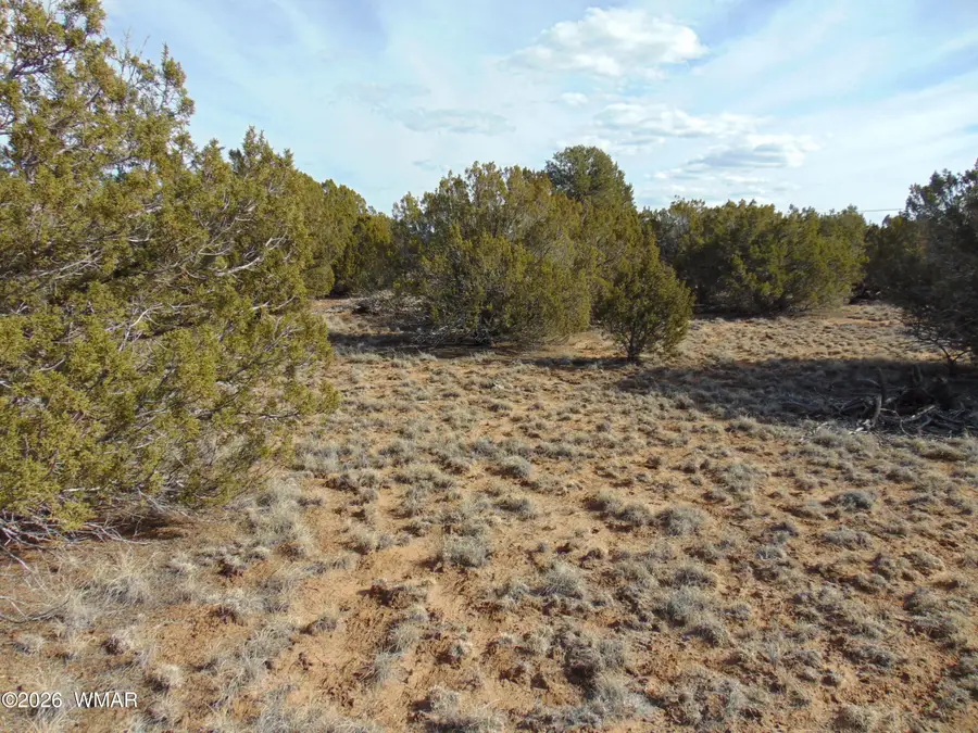 51 & 49 County Road 8243 Road, Vernon, AZ 85940 - #3