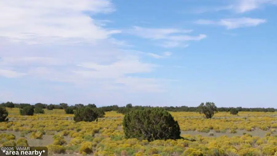 00 Ranch Road Lot 127, Chambers, AZ 86502 - #2