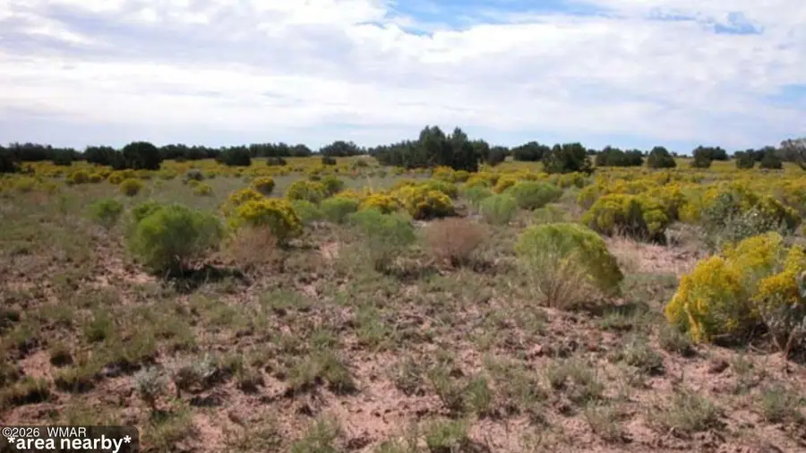 00 Ranch Road Lot 127, Chambers, AZ 86502 - #3