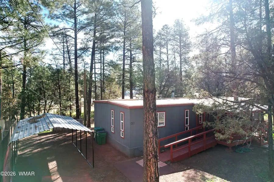 1031 N 43rd Circle, Show Low, AZ 85901 - #3