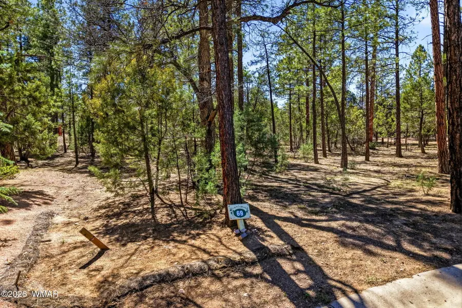 5039 Winter Hawk Court, Lakeside, AZ 85929 - #3