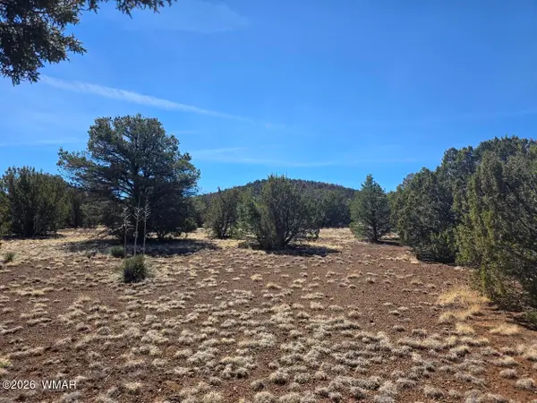 88 N3131, Vernon, AZ 85940