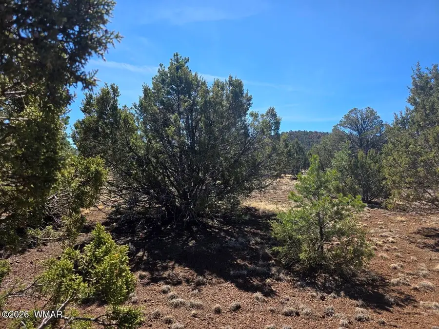 88 N3131, Vernon, AZ 85940 - #2