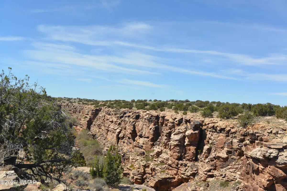 TBD Old Woodruff Rd Road, Snowflake, AZ 85937 - #1