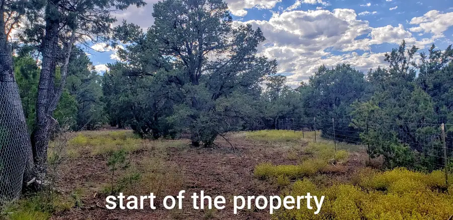 7 N3065, Vernon, AZ 85940 - #3