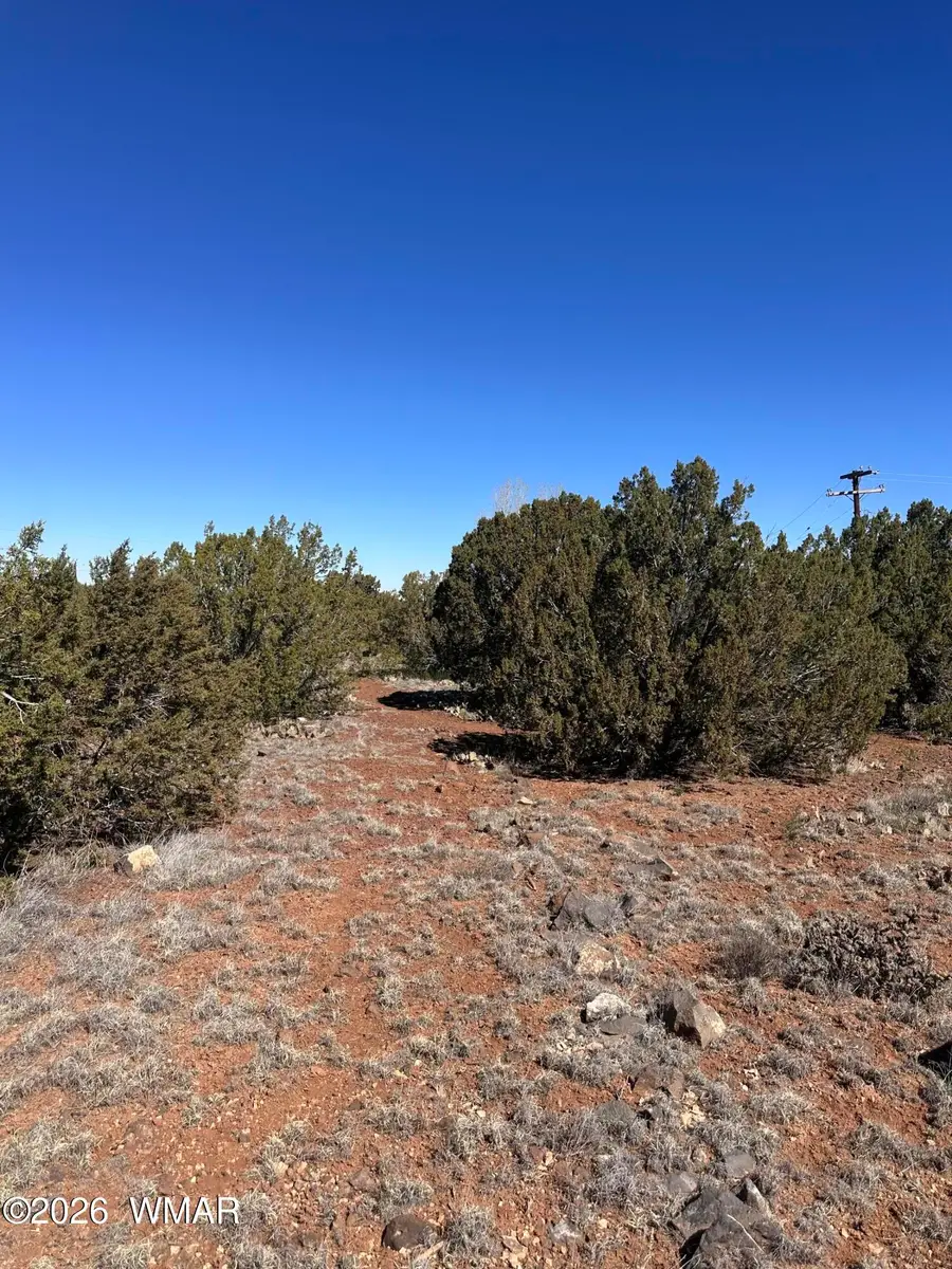 8490 Canyon Drive, Show Low, AZ 85901 - #2