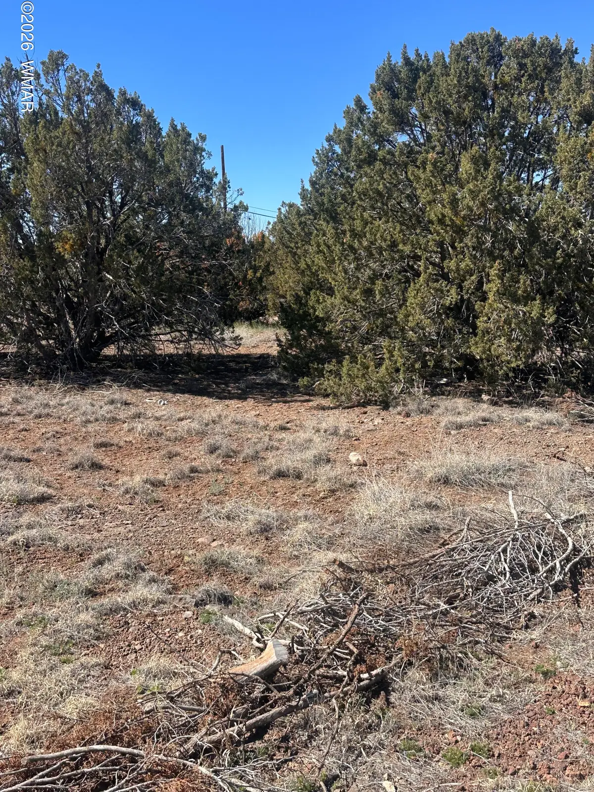 8489 Rifle Drive, Show Low, AZ 85901 - #1