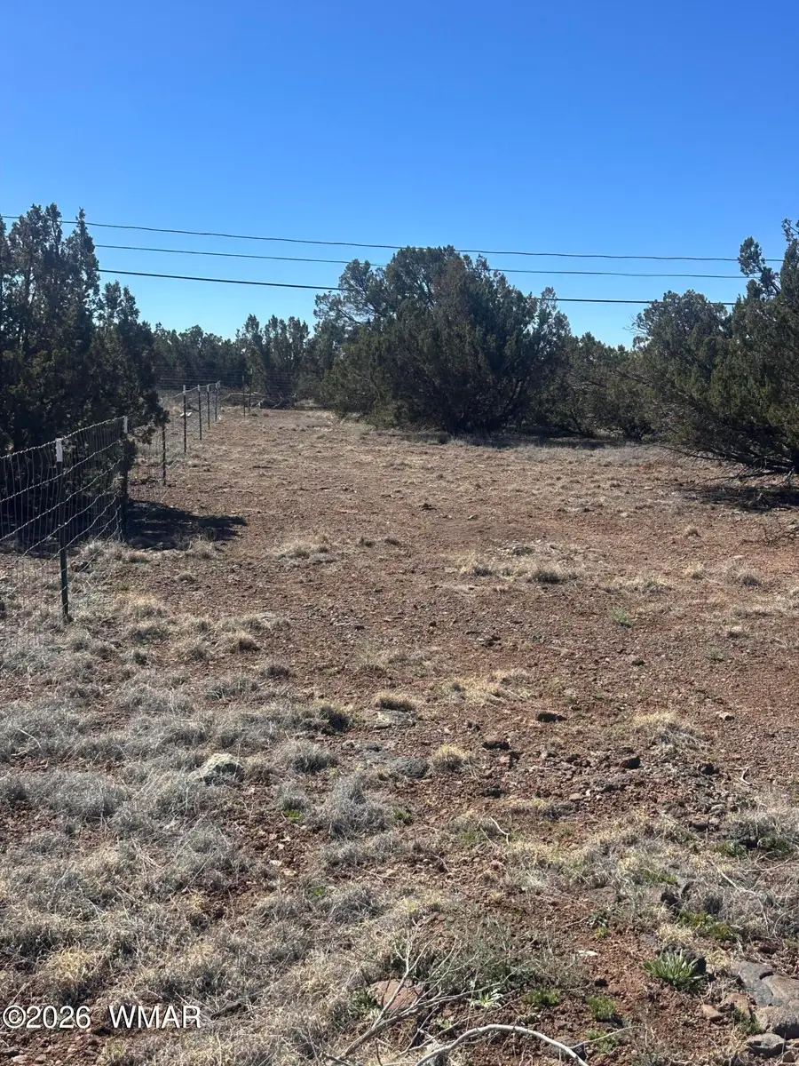 8489 Rifle Drive, Show Low, AZ 85901 - #2