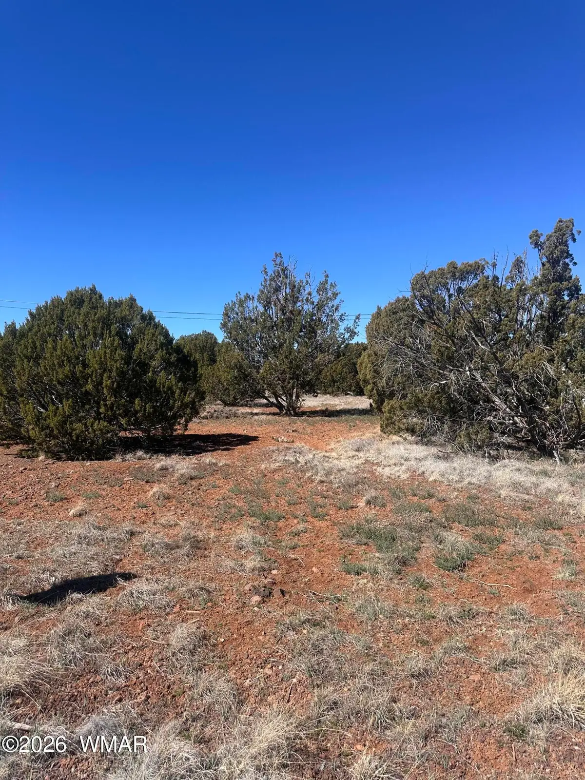 Lot 338 Bartlett Pl, Show Low, AZ 85901 - #1