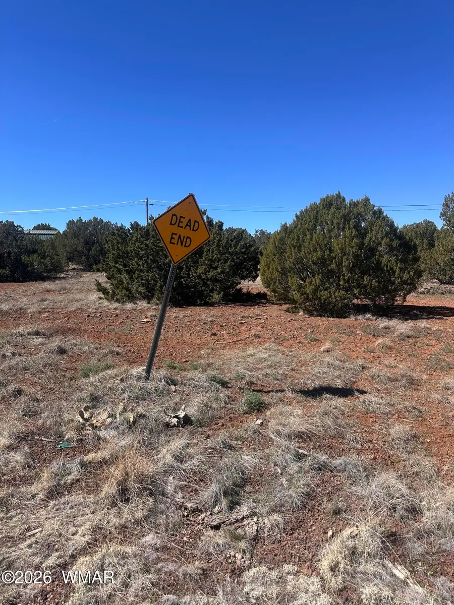 Lot 338 Bartlett Pl, Show Low, AZ 85901 - #2