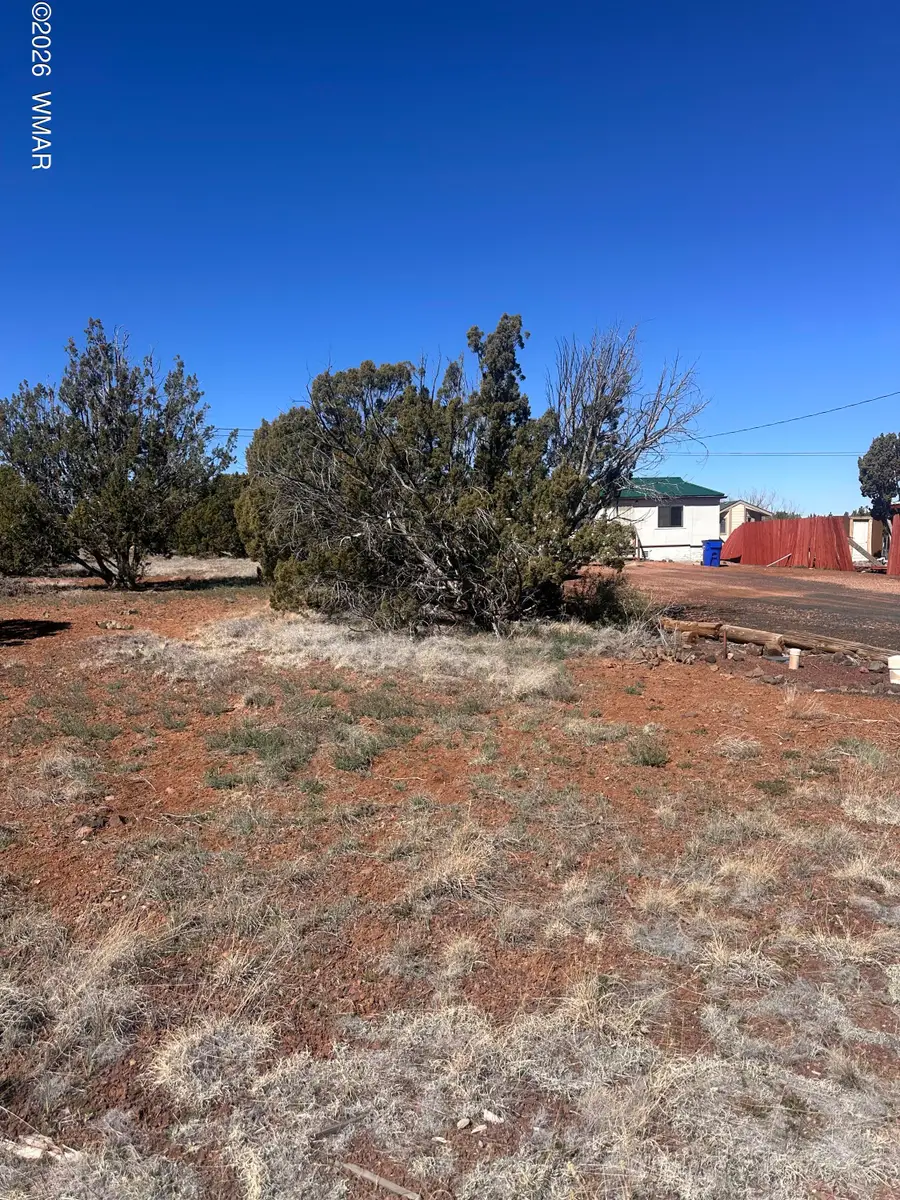 Lot 338 Bartlett Pl, Show Low, AZ 85901 - #3
