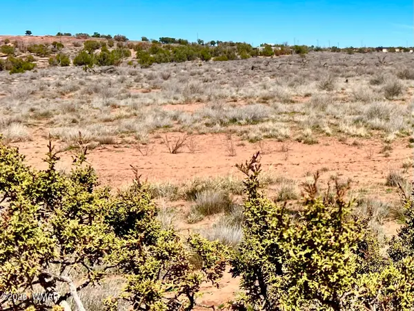 5201 Jay Rd 24.42 Acres, Snowflake, AZ 85937