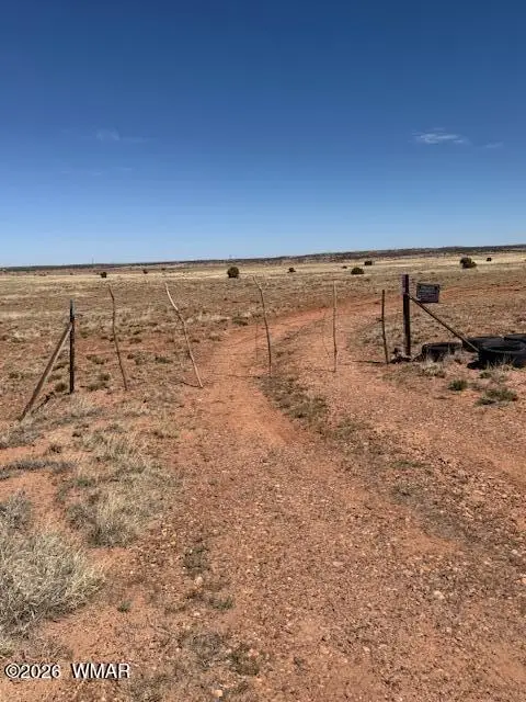 1045 County Road 5020, Concho, AZ 85924 - #1